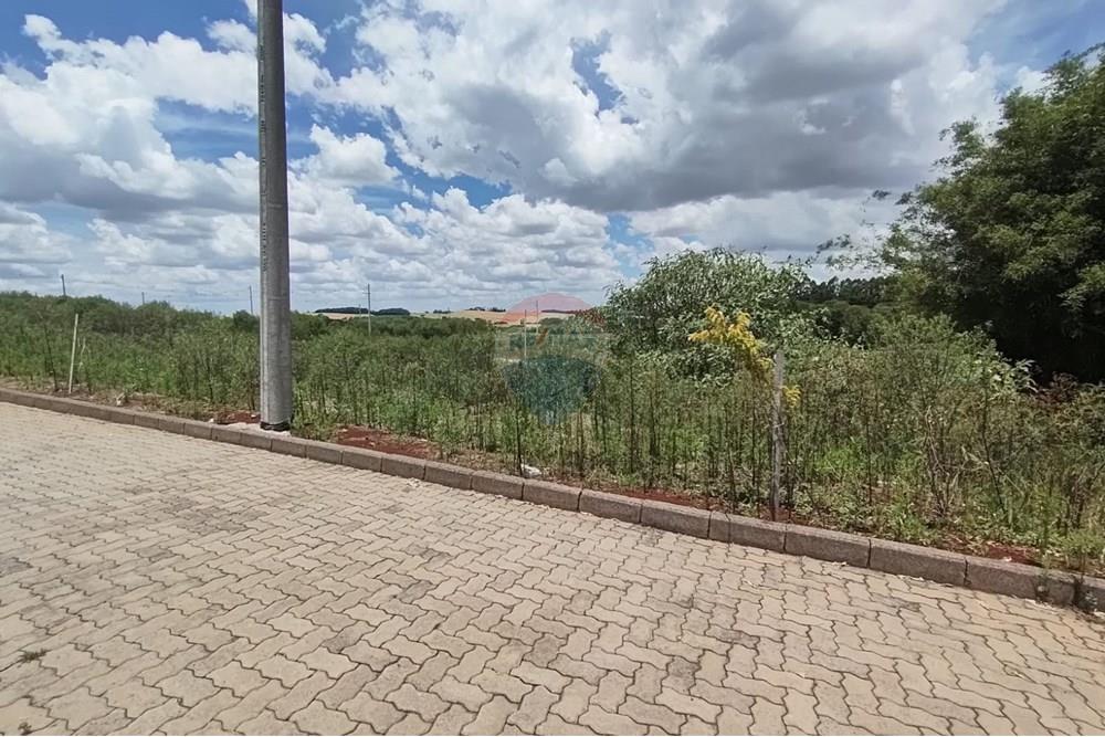 Terreno - Venda - Erechim , Rio Grande do Sul - WhatsApp Image 2025-12-03 at 09.48.08.jpeg - 612761006-64