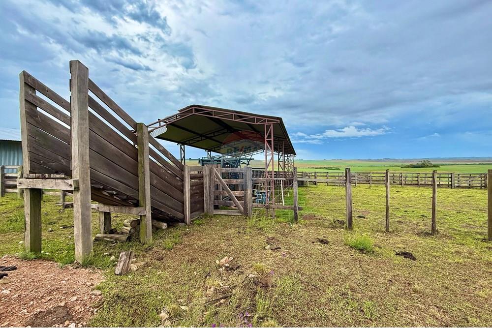 Chácara / Sítio / Fazenda - Venda - São Gabriel , Rio Grande do Sul - WhatsApp Image 2025-03-07 at 09.58.56 (4).jpeg - 612631001-65