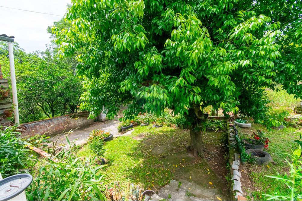 Chácara / Sítio / Fazenda - Venda - Gravataí , Rio Grande do Sul - _DSC3226.jpg - 610051074-21