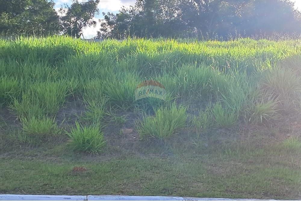 Terreno - Venda - Viamão , Rio Grande do Sul - Imagem do WhatsApp de 2025-03-13 à(s) 15.18.51_b7a65736.jpg - 612531034-104