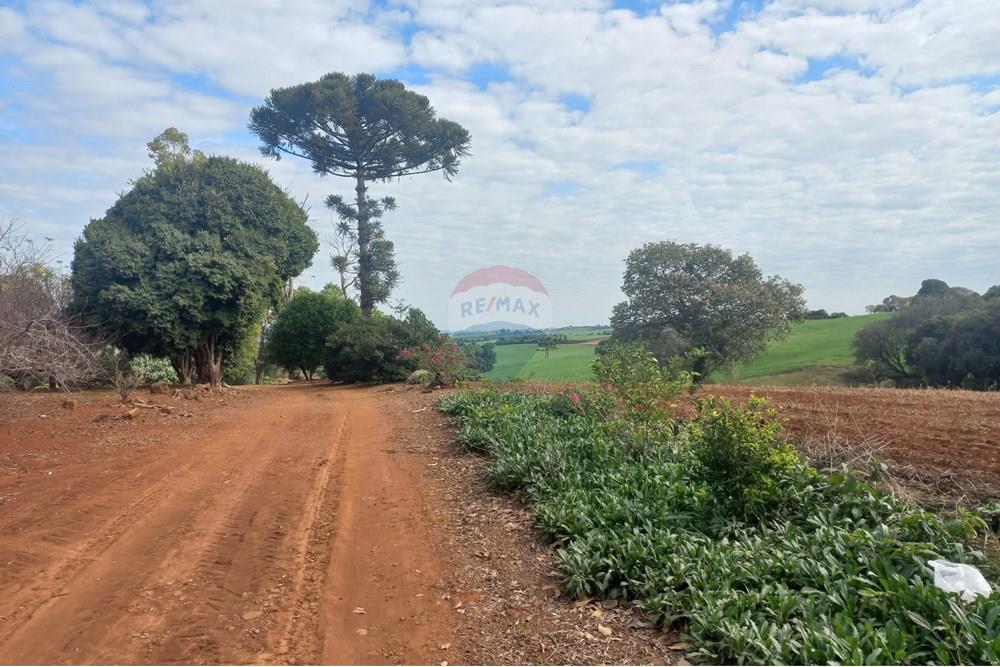 Chácara / Sítio / Fazenda - Venda - Nonoai , Rio Grande do Sul - 1000558525.jpg - 610231010-128