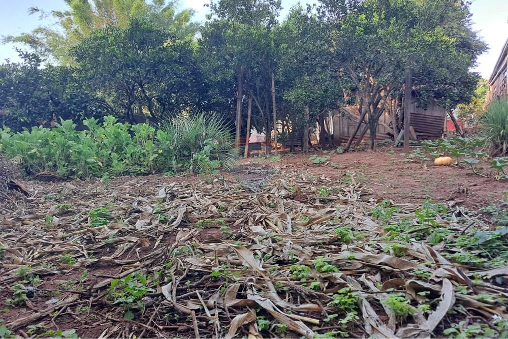 Casa - Venda - Passo Fundo , Rio Grande do Sul - WhatsApp Image 2026-01-21 at 20.43.51.jpeg - 610271103-17