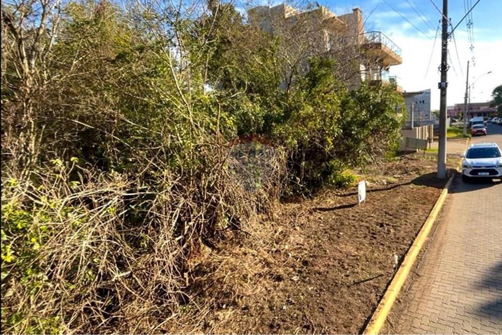 Terreno - Venda - Guaíba , Rio Grande do Sul - Imagem do WhatsApp de 2025-08-28 à(s) 16.10.24_5720a351.jpg - 612781019-16