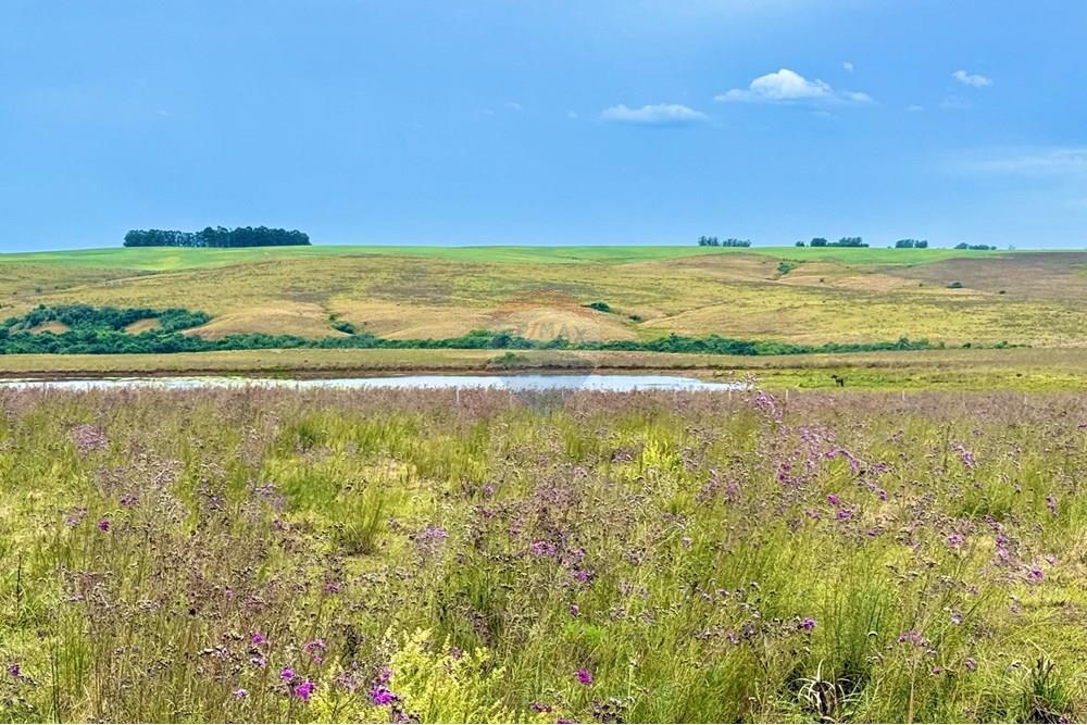 Chácara / Sítio / Fazenda - Venda - São Gabriel , Rio Grande do Sul - WhatsApp Image 2025-03-07 at 09.58.54 (1).jpeg - 612631001-65