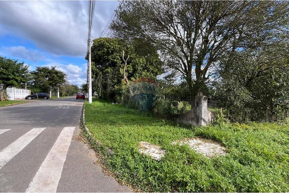 Terreno - Venda - Gravataí , Rio Grande do Sul - IMG-20250811-WA0442.jpg - 610161032-36