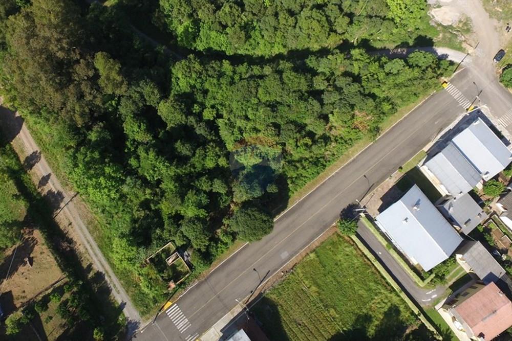 Terreno - Venda - Nova Pádua , Rio Grande do Sul - DJI_00771.jpg - 612551039-219