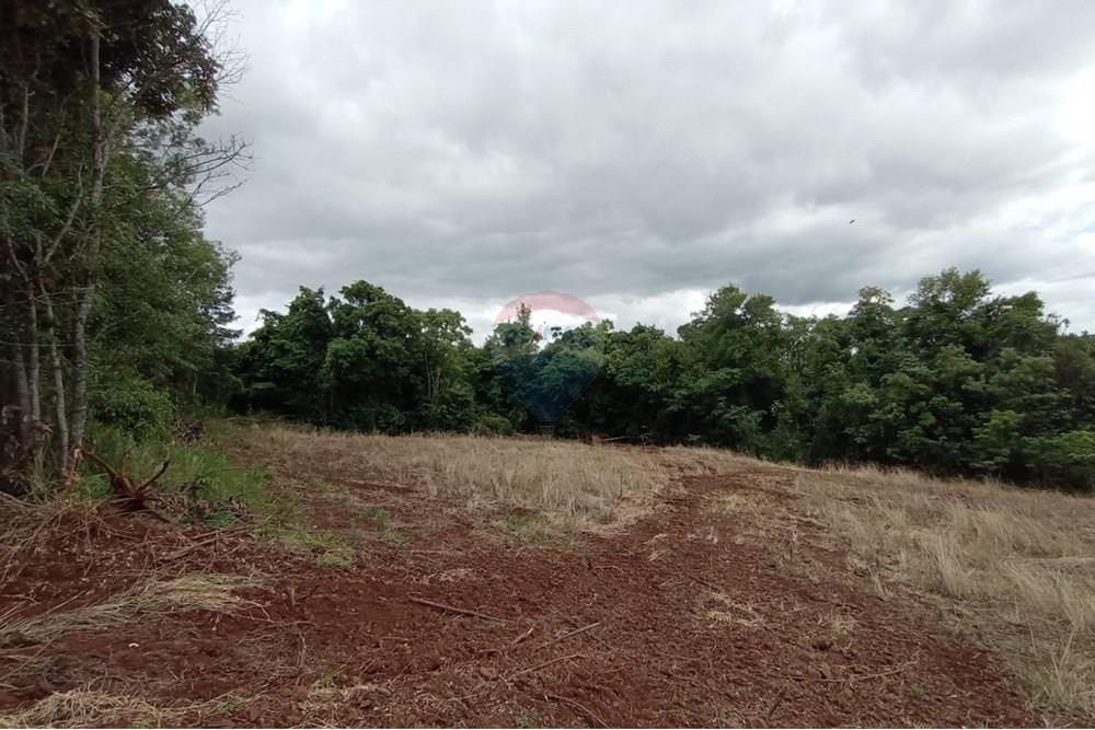 Chácara / Sítio / Fazenda - Venda - Sarandi , Rio Grande do Sul - WhatsApp Image 2025-11-26 at 16.01.41 (3).jpeg - 610341020-16