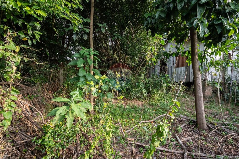 Terreno - Venda - Novo Hamburgo , Rio Grande do Sul - DSC_5071.jpeg - 610261057-8