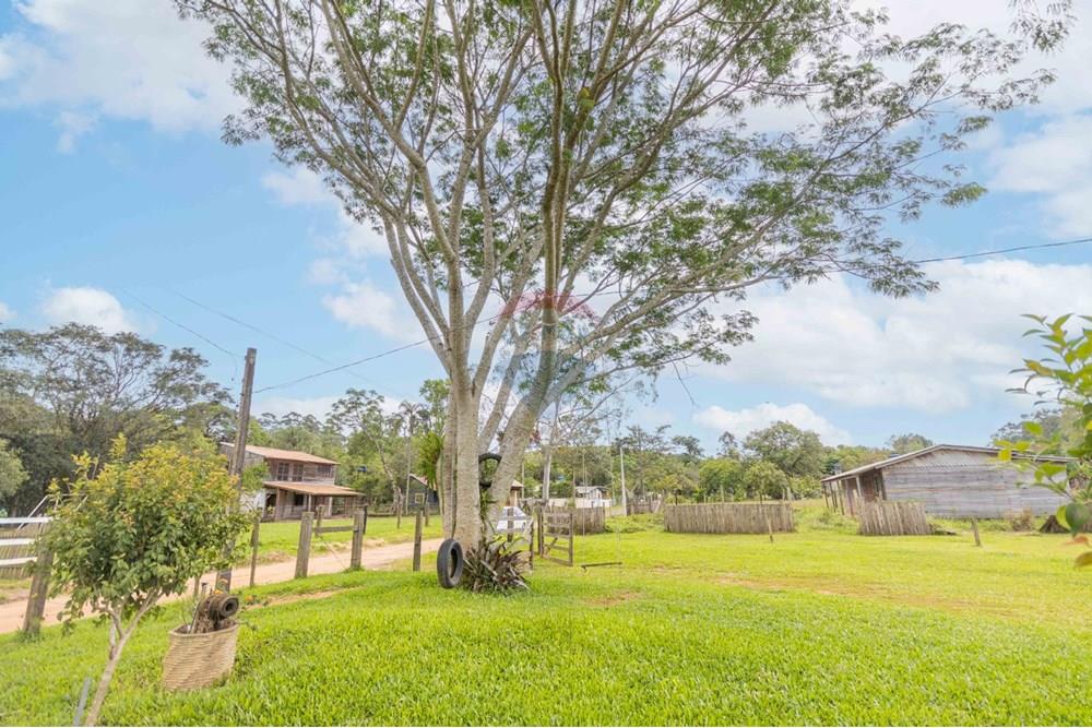 Chácara / Sítio / Fazenda - Venda - Gravataí , Rio Grande do Sul - WhatsApp Image 2025-05-26 at 18.45.25 (1).jpeg - 610381018-3