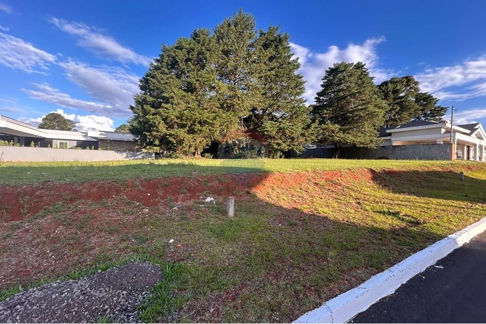 Terreno - Venda - Passo Fundo , Rio Grande do Sul - WhatsApp Image 2025-12-09 at 07.43.40 (2).jpeg - 610271050-104