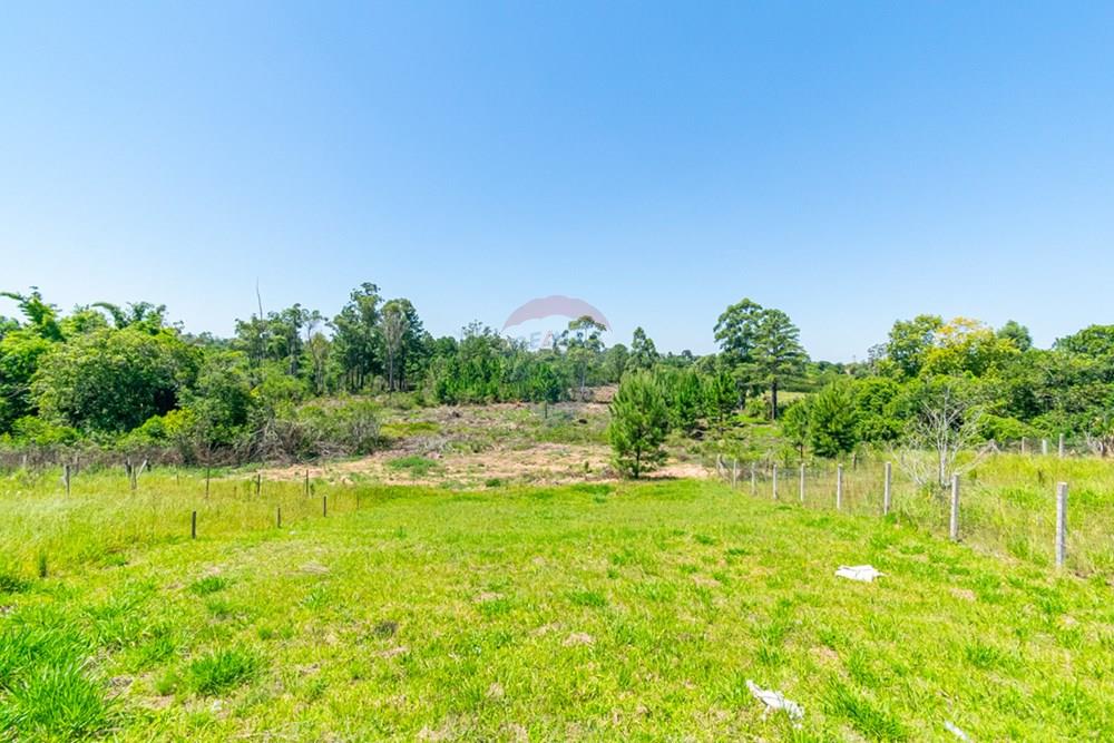 Chácara / Sítio / Fazenda - Venda - Gravataí , Rio Grande do Sul - _DSC5381.jpg - 610051074-32