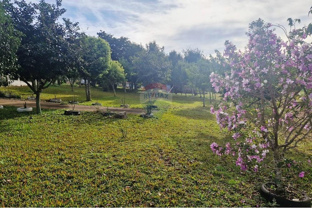 Terreno - Venda - Trindade do Sul , Rio Grande do Sul - IMG-20250801-WA0041.jpg - 610231029-107