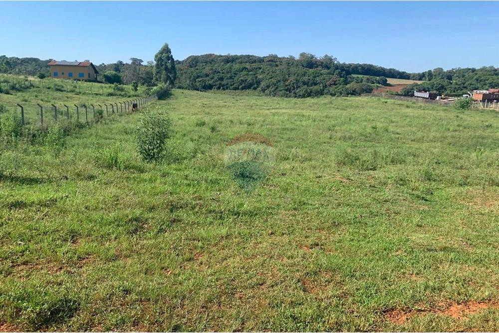 Chácara / Sítio / Fazenda - Venda - Santa Cruz do Sul , Rio Grande do Sul - WhatsApp Image 2025-02-25 at 10.27.51 (3).jpeg - 612741028-21