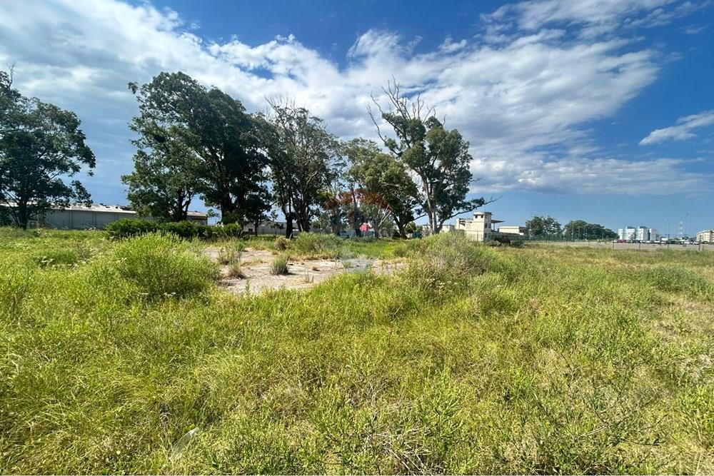 Terreno - Venda - Rio Grande , Rio Grande do Sul - WhatsApp Image 2026-02-12 at 23.43.33.jpeg - 610211007-15