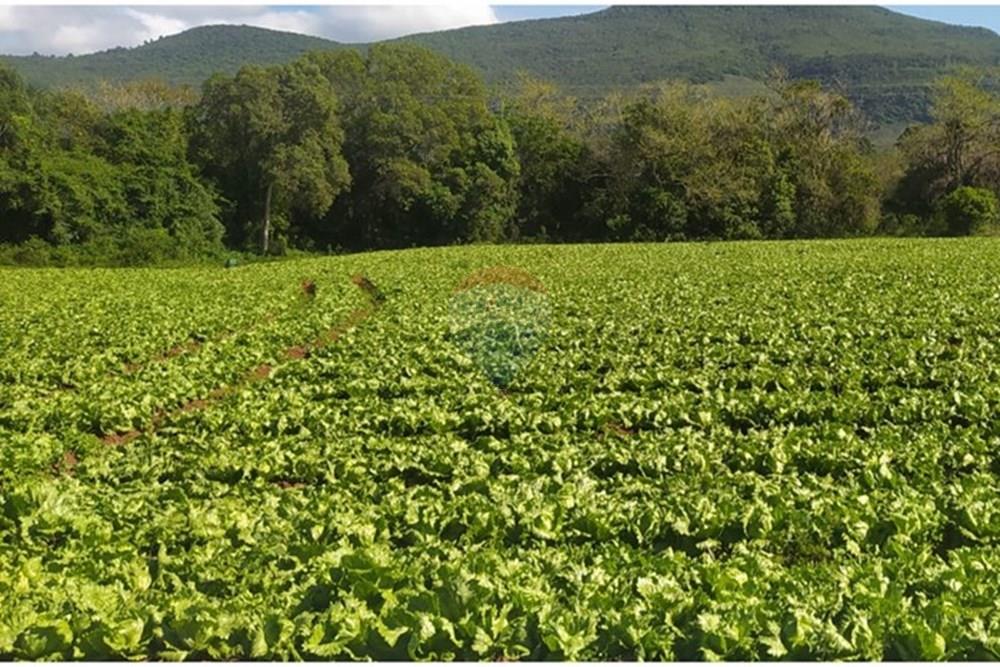 Terreno - Venda - Terra de Areia , Rio Grande do Sul - 2f4171c6-b38a-4ece-b093-7063d144ccd8.jpg - 612671028-46
