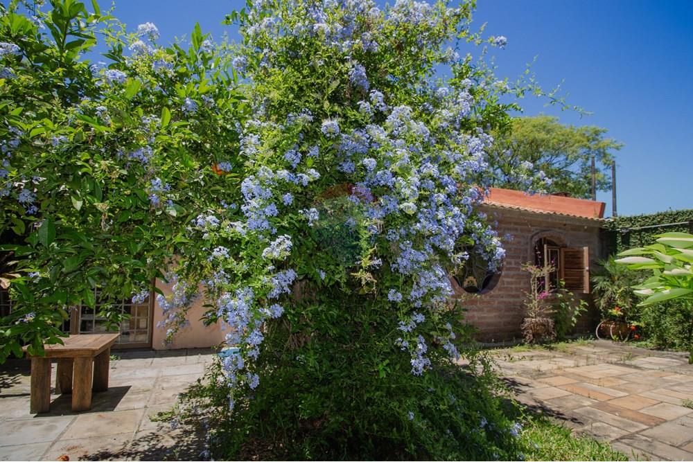 Sobrado - Venda - Santa Maria , Rio Grande do Sul - IMG_3427.jpg - 610471004-12