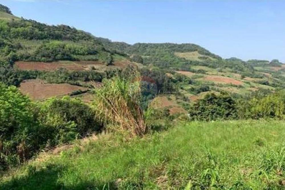 Chácara / Sítio / Fazenda - Venda - Santa Cruz do Sul , Rio Grande do Sul - WhatsApp Image 2025-11-07 at 11.04.18 (1).jpeg - 612741028-61