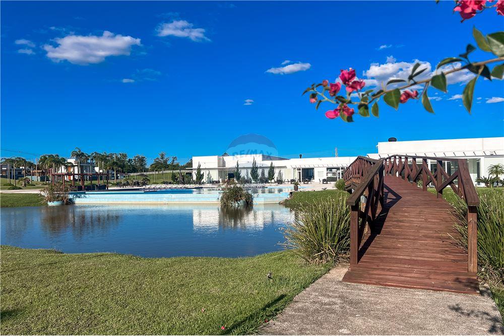 Terreno - Venda - Nova Santa Rita , Rio Grande do Sul - 4 - 612651009-67