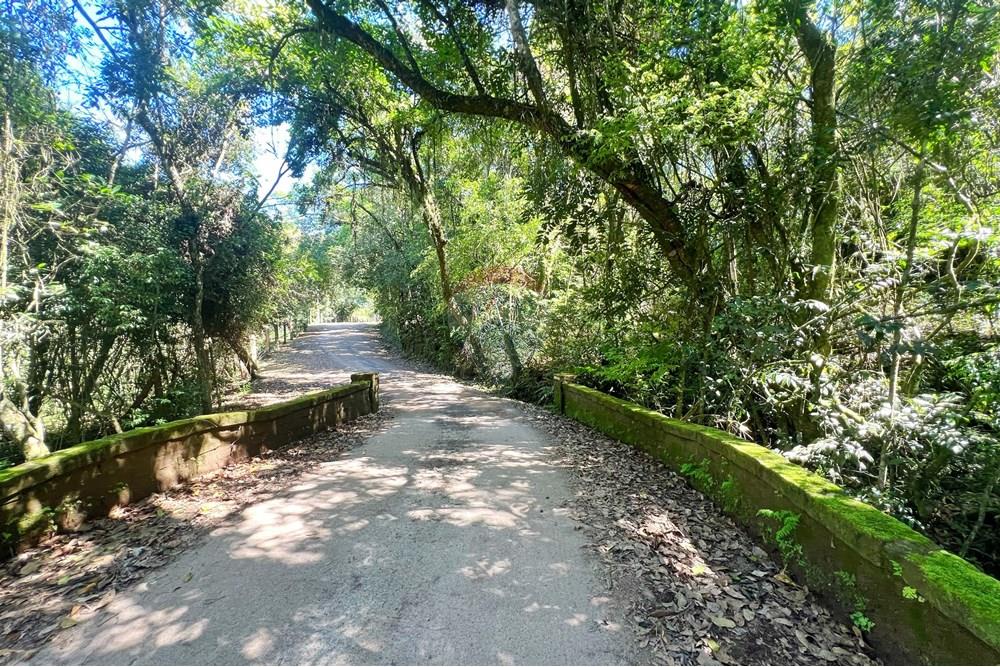Terreno - Venda - São Leopoldo , Rio Grande do Sul - Ponte.jpg - Layout aberto - 610461003-53