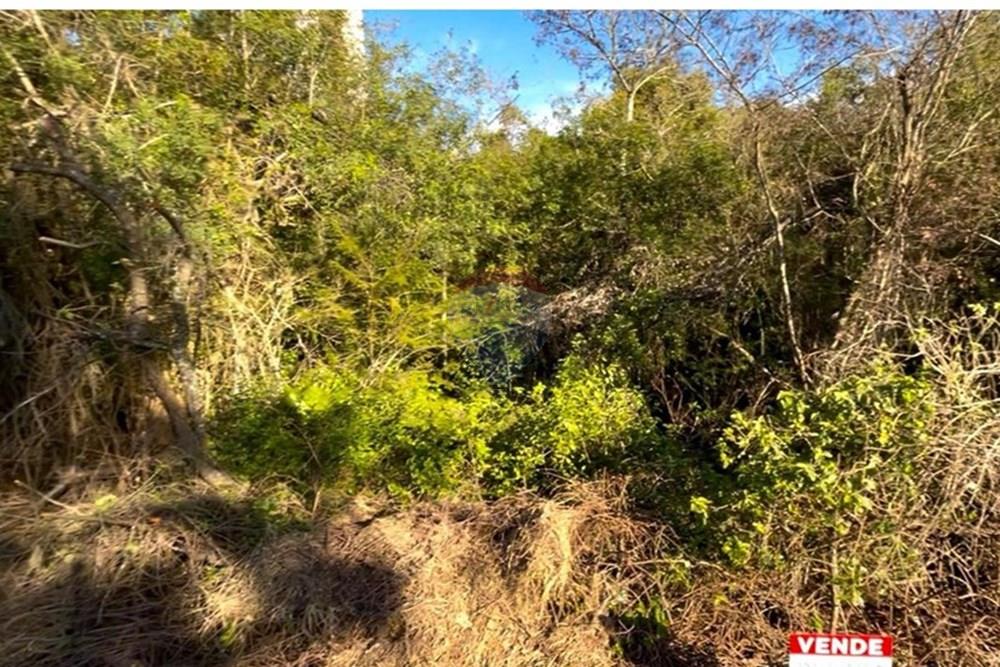 Terreno - Venda - Guaíba , Rio Grande do Sul - Imagem do WhatsApp de 2025-08-28 à(s) 16.10.24_d79a3ec1.jpg - 612781019-16