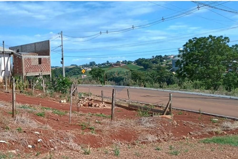Terreno - Venda - Três Palmeiras , Rio Grande do Sul - WhatsApp Image 2026-02-17 at 09.41.16.jpeg - 610231038-12