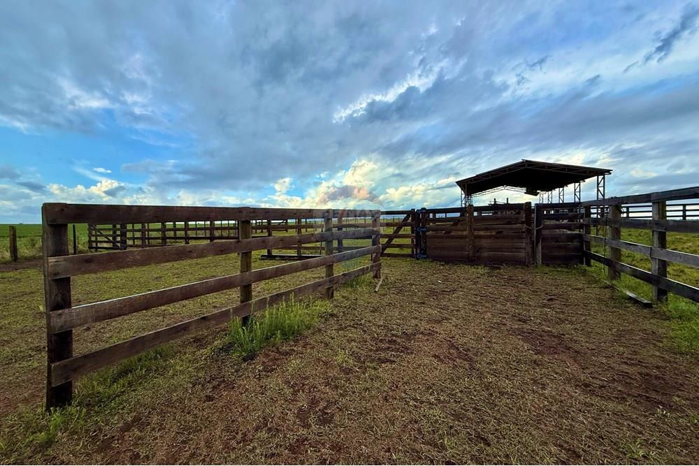 Chácara / Sítio / Fazenda - Venda - São Gabriel , Rio Grande do Sul - WhatsApp Image 2025-03-07 at 09.58.55.jpeg - 612631001-65