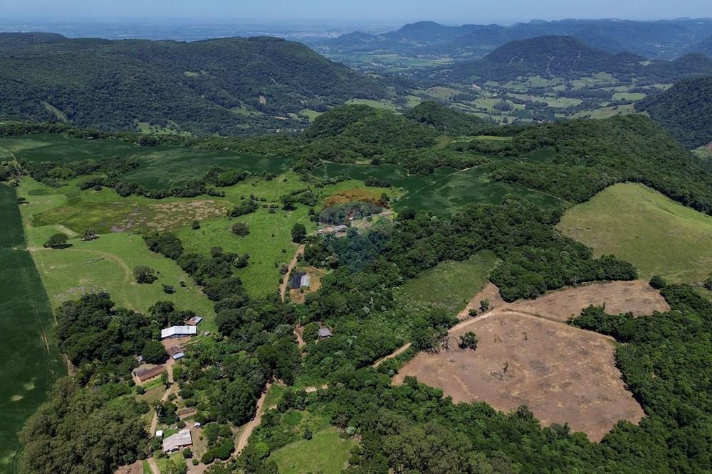 Chácara / Sítio / Fazenda - Venda - Silveira Martins , Rio Grande do Sul - DJI_0817.jpg - 610311058-39