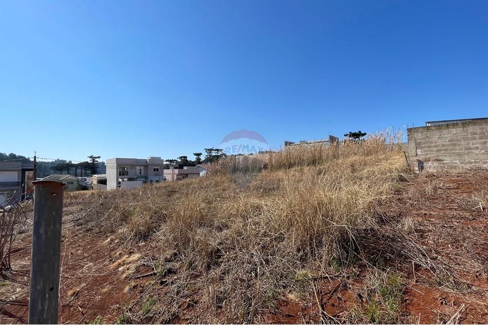 Terreno - Venda - Erechim , Rio Grande do Sul - WhatsApp Image 2025-07-14 at 16.40.46.jpeg - 612761012-8