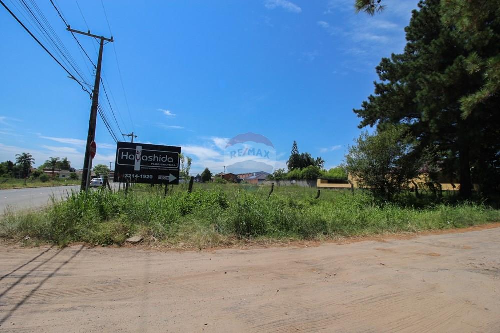 Terreno - Venda - Santa Maria , Rio Grande do Sul - IMG_4958.jpg - 610471031-19