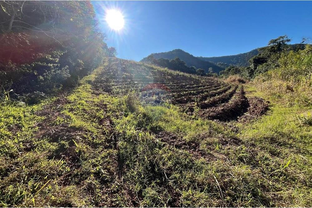 Chácara / Sítio / Fazenda - Venda - Santa Cruz do Sul , Rio Grande do Sul - WhatsApp Image 2025-07-21 at 10.35.21 (1).jpeg - 612741028-54