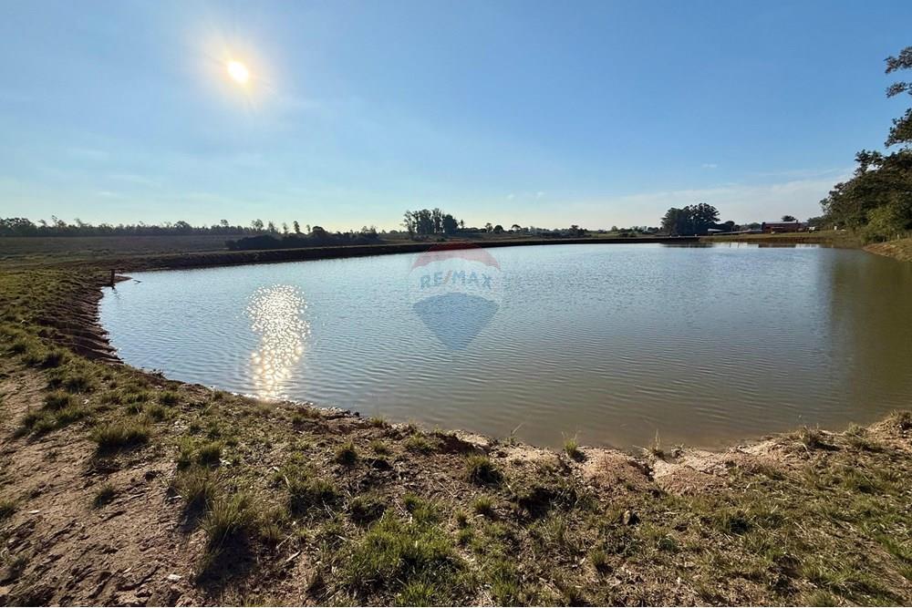 Chácara / Sítio / Fazenda - Venda - São Gabriel , Rio Grande do Sul - 6043f213-7ba5-4fb4-833d-e1a50dd573cd.jpeg - 612631037-9