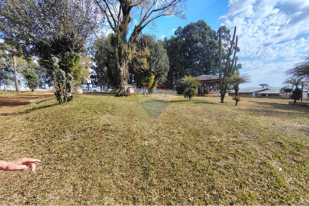 Chácara / Sítio / Fazenda - Venda - Ronda Alta , Rio Grande do Sul - 5c6df1ee-5e9a-42b4-aa7f-93002ea20da4.jpeg - 610231039-1