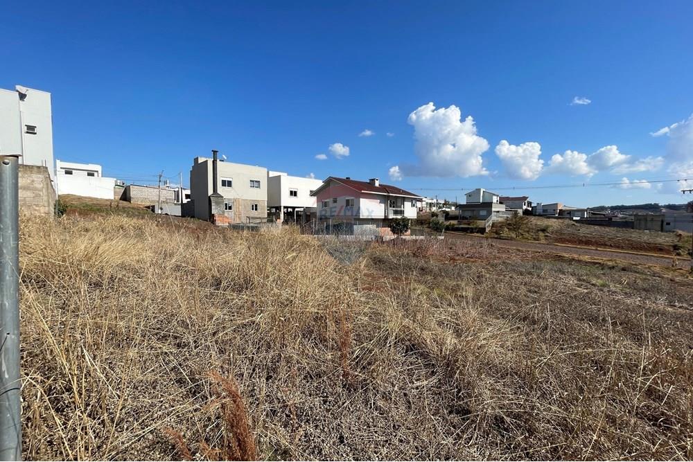 Terreno - Venda - Erechim , Rio Grande do Sul - WhatsApp Image 2025-07-14 at 16.40.48 (1).jpeg - 612761012-8