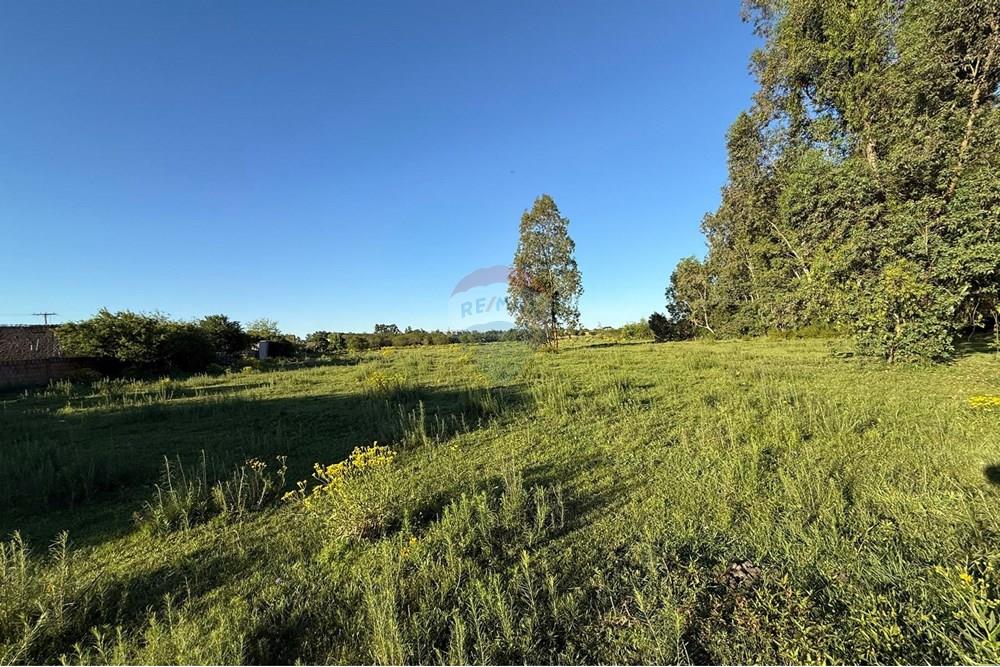Terreno - Venda - São Gabriel , Rio Grande do Sul - Imagem do WhatsApp de 2025-10-16 à(s) 14.42.40_1251c4d9.jpg - 612631046-34