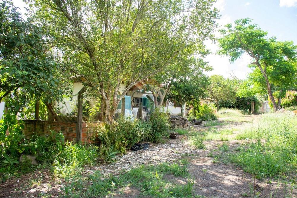 Casa Comercial - Venda - Cachoeirinha , Rio Grande do Sul - WhatsApp Image 2025-02-14 at 17.13.26 (1).jpeg - 612551008-91