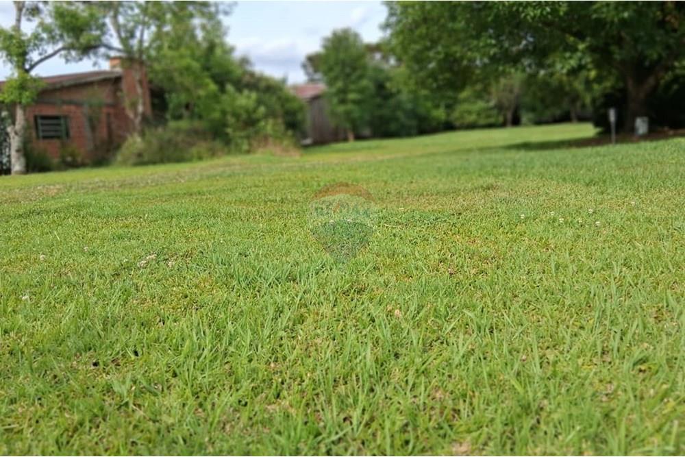 Terreno - Venda - Ibirapuitã , Rio Grande do Sul - WhatsApp Image 2025-12-01 at 16.35.05 (3).jpeg - 610271103-10