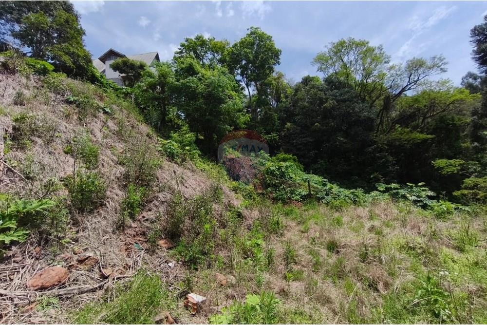 Terreno - Venda - São Valentim , Rio Grande do Sul - WhatsApp Image 2025-10-11 at 13.51.08.jpeg - Fachada - 612761006-54