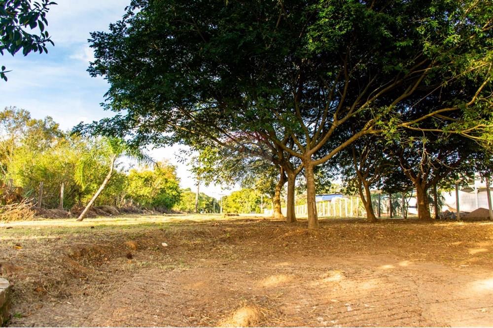 Residential - Lahan - Porto Alegre , Rio Grande do Sul - BR - WhatsApp Image 2025-05-20 at 17.44.23.jpeg - 612551005-116