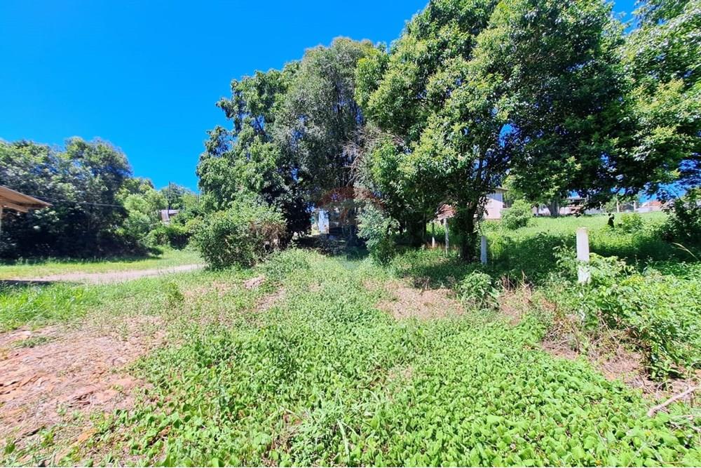 Terreno - Venda - Passo Fundo , Rio Grande do Sul - WhatsApp Image 2026-01-05 at 15.10.49.jpeg - 610351082-4