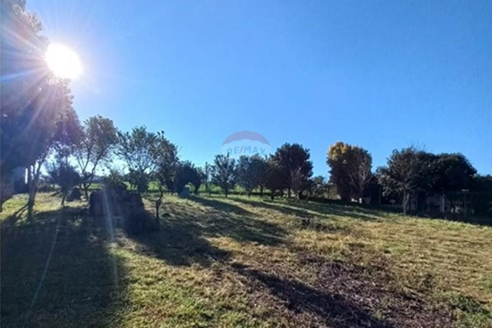 Terreno - Venda - Trindade do Sul , Rio Grande do Sul - WhatsApp Image 2025-09-10 at 00.59.29.jpeg - 610231035-3