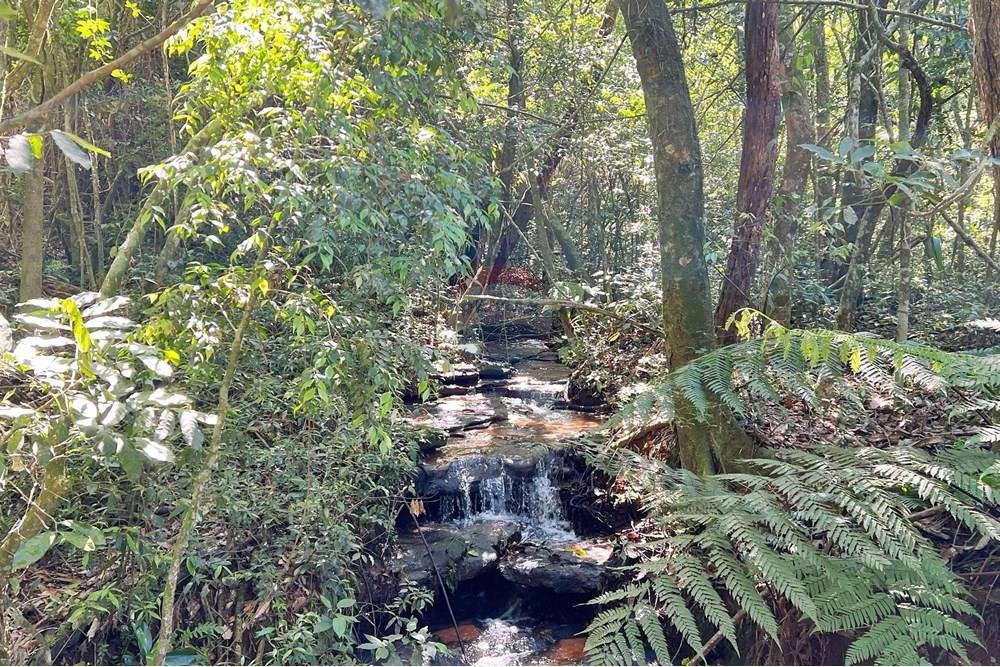 Terreno - Venda - São Leopoldo , Rio Grande do Sul - Mini cachoeira.jpg - Layout aberto - 610461003-53