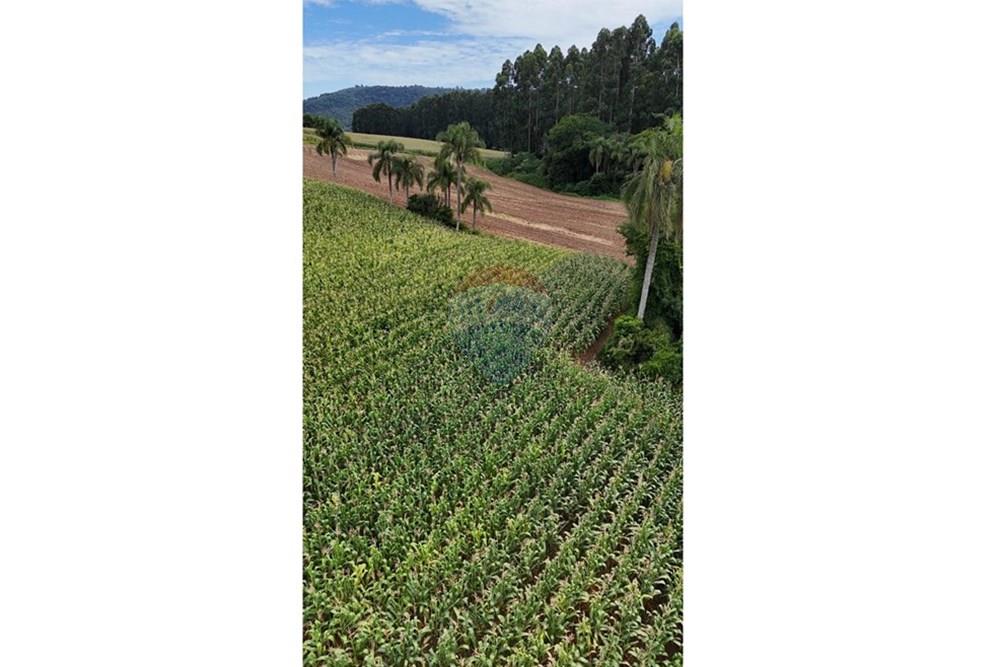 Chácara / Sítio / Fazenda - Venda - Gramado , Rio Grande do Sul - WhatsApp Image 2026-02-24 at 18.00.10 (1).jpeg - 610131034-44