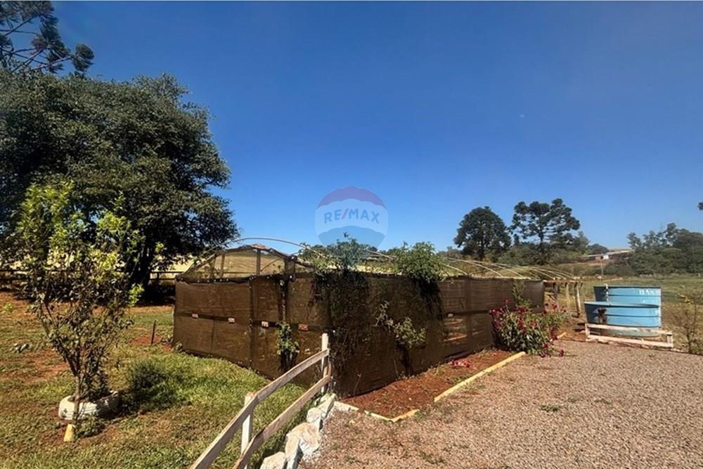 Chácara / Sítio / Fazenda - Venda - Lagoa dos Três Cantos , Rio Grande do Sul - c1c47273-9ae5-4c1f-8a3d-745fcc5399e3.jpeg - 612701005-19