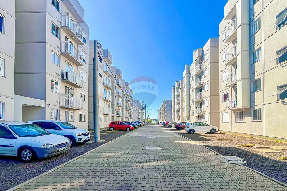 Apartamento - Venda - Novo Hamburgo , Rio Grande do Sul - image00022.jpeg - 610411034-124