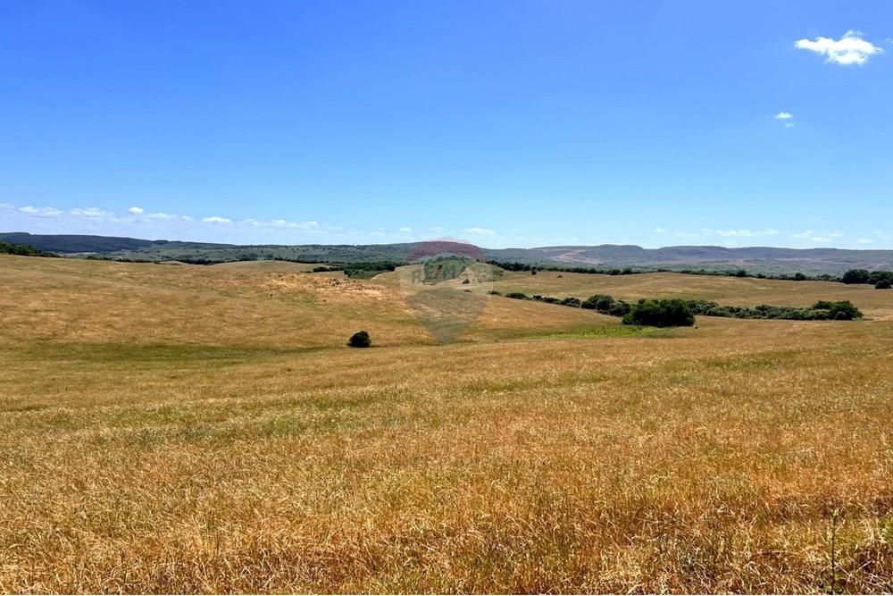 Chácara - Venda - Lavras do Sul , Rio Grande do Sul - WhatsApp Image 2025-01-13 at 23.10.18.jpeg - 612631031-7