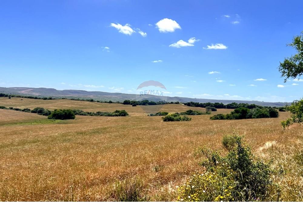 Chácara - Venda - Lavras do Sul , Rio Grande do Sul - WhatsApp Image 2025-01-13 at 23.00.55.jpeg - 612631031-7