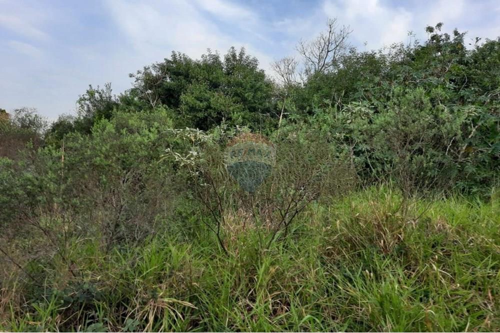 Terreno - Venda - Viamão , Rio Grande do Sul - terreno1.jpg - 612541026-6