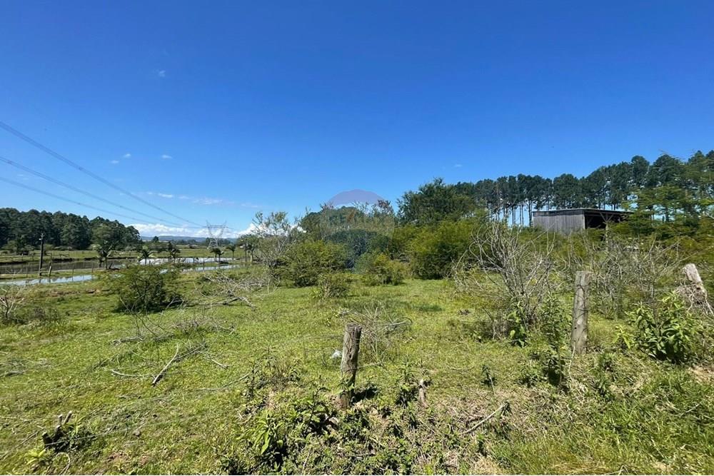 Terreno - Venda - Glorinha , Rio Grande do Sul - WhatsApp Image 2025-12-24 at 10.15.54 (1).jpeg - 610161100-57