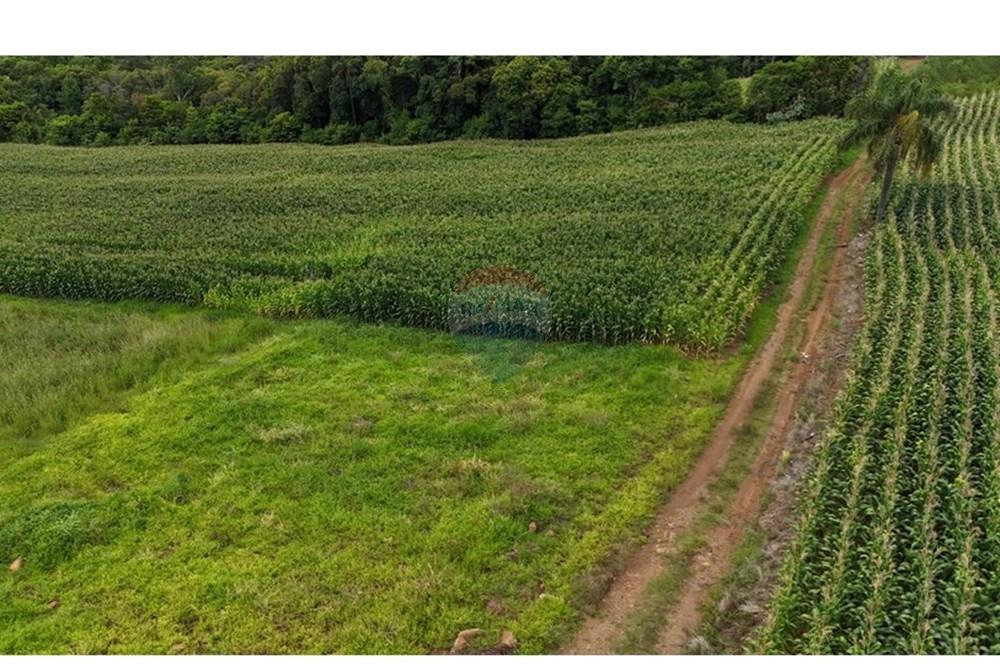 Chácara / Sítio / Fazenda - Venda - Gramado , Rio Grande do Sul - WhatsApp Image 2026-02-24 at 16.26.07 (13).jpeg - 610131034-44