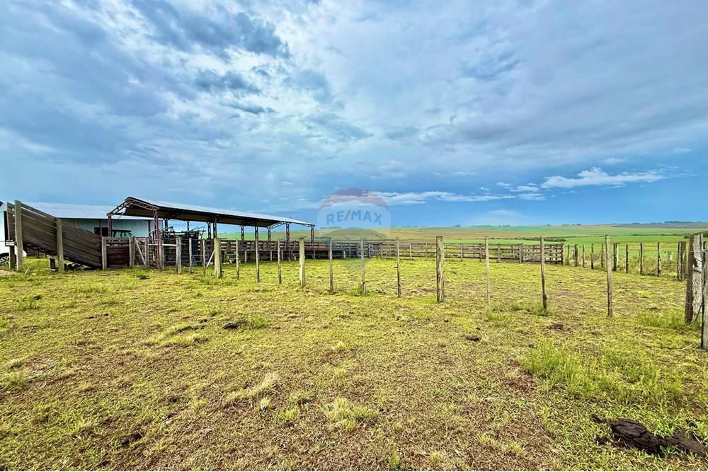 Chácara / Sítio / Fazenda - Venda - São Gabriel , Rio Grande do Sul - WhatsApp Image 2025-03-07 at 09.58.56 (3).jpeg - 612631001-65